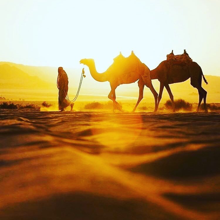 wadi-rum-jordan